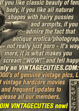 JOIN VINTAGECUTIES!